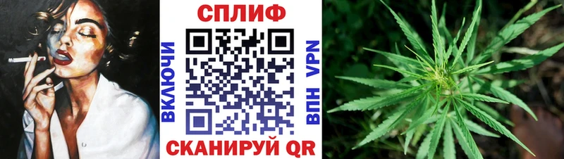 Где купить Старица Гашиш  мега зеркало  МЕФ  Канабис  КОКАИН  АМФЕТАМИН 
