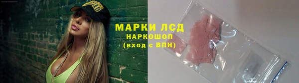 гашик Заводоуковск