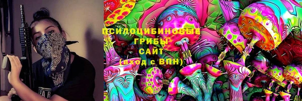 ГАЛЛЮЦИНОГЕННЫЕ ГРИБЫ Заволжск