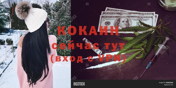 гашик Заводоуковск