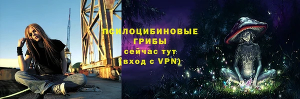 гашик Заводоуковск