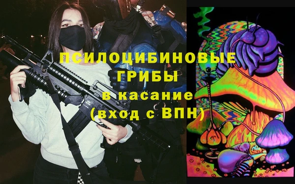 гашик Заводоуковск