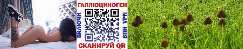 Псилоцибиновые грибы Psilocybine cubensis  Старица 